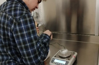 laboratorio: pesa dei reagenti per tintura naturale della lana laboratorio: pesa dei reagenti per tintura naturale della lana