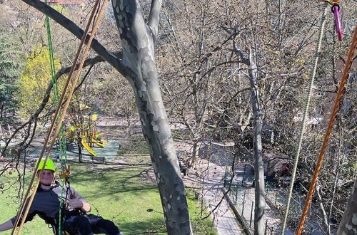 FC corso Tree climbing operatori sull'albero appesi alle funi FC corso Tree climbing operatori sull'albero appesi alle funi