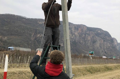 Impianto nuovo meleto, alunni classe III - sistemazione tiranti Impianto nuovo meleto, alunni classe III - sistemazione tiranti