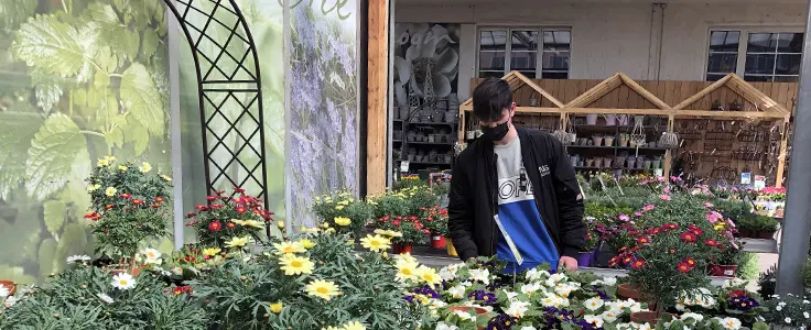 Stage presso aziende partner - giardinieria Stage presso aziende partner - giardinieria