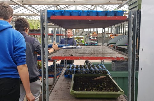 Classe I - attività in serra Laimburg: alunni dispongono ordinatamente i plateaux con le piantine messe a dimora, nei bancali di raccolta Classe I - attività in serra Laimburg: alunni dispongono ordinatamente i plateaux con le piantine messe a dimora, nei bancali di raccolta