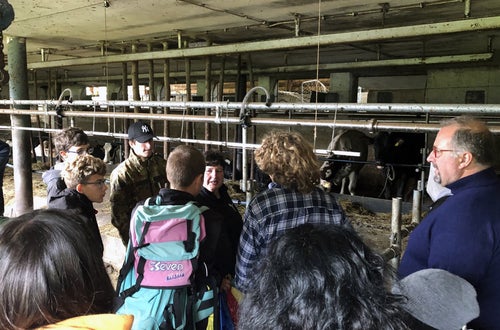 Progetti La prima nel bosco Gita didattica in azienda zootecnica Progetti La prima nel bosco Gita didattica in azienda zootecnica