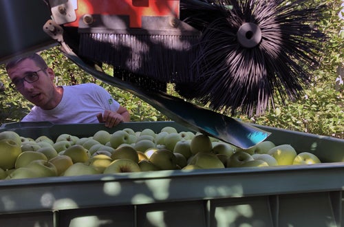 Raccolta mele II: dettaglio del carro raccolta con nastro Raccolta mele II: dettaglio del carro raccolta con nastro