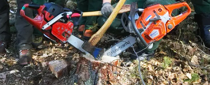 FCLS - motoseghe e ascia: lavori in bosco FCLS - motoseghe e ascia: lavori in bosco