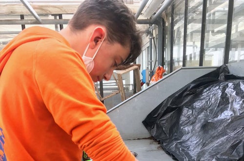 Classe I - attività in serra Laimburg, operazione di semina: alunno livella con l'apposito attrezzo il letto di semina Classe I - attività in serra Laimburg, operazione di semina: alunno livella con l'apposito attrezzo il letto di semina
