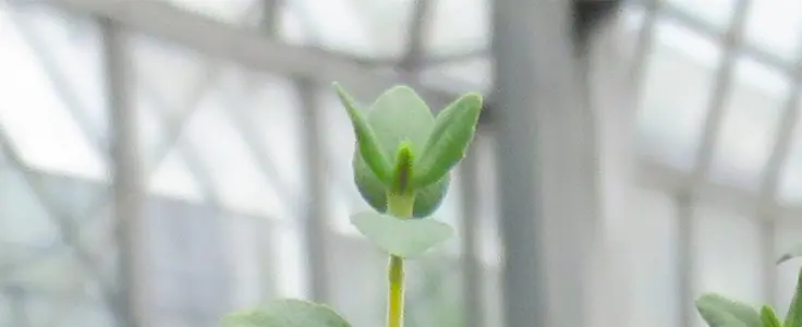 FCSL corsi in evidenza FCSL corsi in evidenza