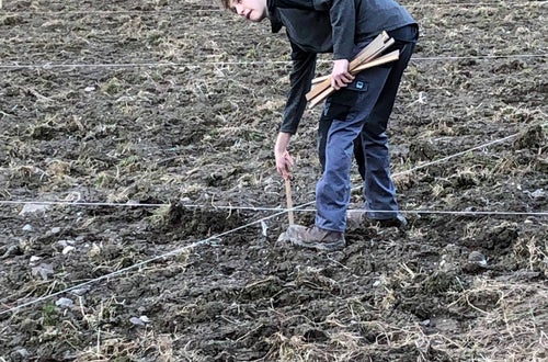 Impianto nuovo meleto, alunni classe III - misurazioni in campo Impianto nuovo meleto, alunni classe III - misurazioni in campo
