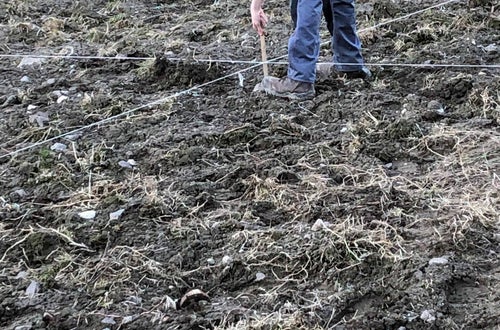 Impianto nuovo meleto, alunni classe III - misurazioni in campo Impianto nuovo meleto, alunni classe III - misurazioni in campo