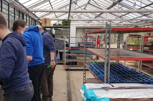 Classe I - attività in serra Laimburg: alunni preparano al bancone i plateaux per le piantine Classe I - attività in serra Laimburg: alunni preparano al bancone i plateaux per le piantine