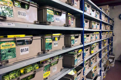 Alunni di III e IV in visita all'azienda Biasion: stoccaggio in magazzino Alunni di III e IV in visita all'azienda Biasion: stoccaggio in magazzino