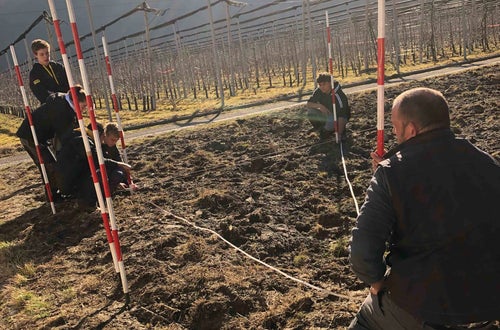 Impianto nuovo meleto, alunni classe III - misurazioni in campo Impianto nuovo meleto, alunni classe III - misurazioni in campo
