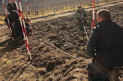Impianto nuovo meleto, alunni classe III - misurazioni in campo Impianto nuovo meleto, alunni classe III - misurazioni in campo