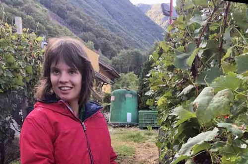 Vendemmia I schiava: alunna tiene in mano un imbuto con l'uva raccolta Vendemmia I schiava: alunna tiene in mano un imbuto con l'uva raccolta