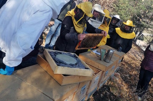 FC: corso apicoltori - lezione come si estraggono i telaini dalle arnie FC: corso apicoltori - lezione come si estraggono i telaini dalle arnie