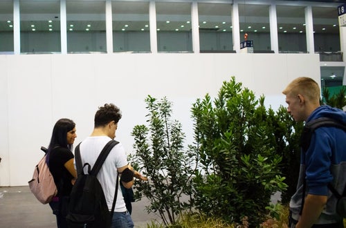 Flomart: un gruppo di alunni osserva arbusti in esposizione Flomart: un gruppo di alunni osserva arbusti in esposizione