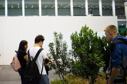 Flomart: un gruppo di alunni osserva arbusti in esposizione Flomart: un gruppo di alunni osserva arbusti in esposizione
