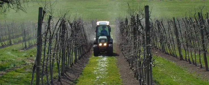 FCLS - imprenditore agricolo lavori in campagna FCLS - imprenditore agricolo lavori in campagna