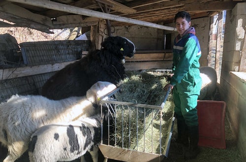 Stage 2022 - alunno in azienda zootecnica Stage 2022 - alunno in azienda zootecnica