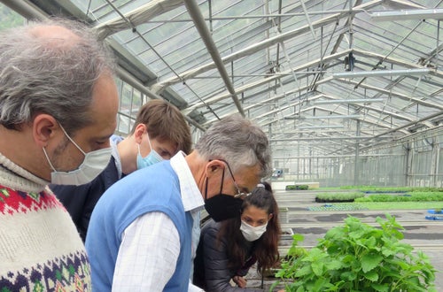 Corso erbe officinali e alimurgiche - lezione pratica: come si fa una talea Corso erbe officinali e alimurgiche - lezione pratica: come si fa una talea