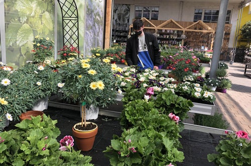 Stage 2021 - floricoltura sistemazione bancali Stage 2021 - floricoltura sistemazione bancali