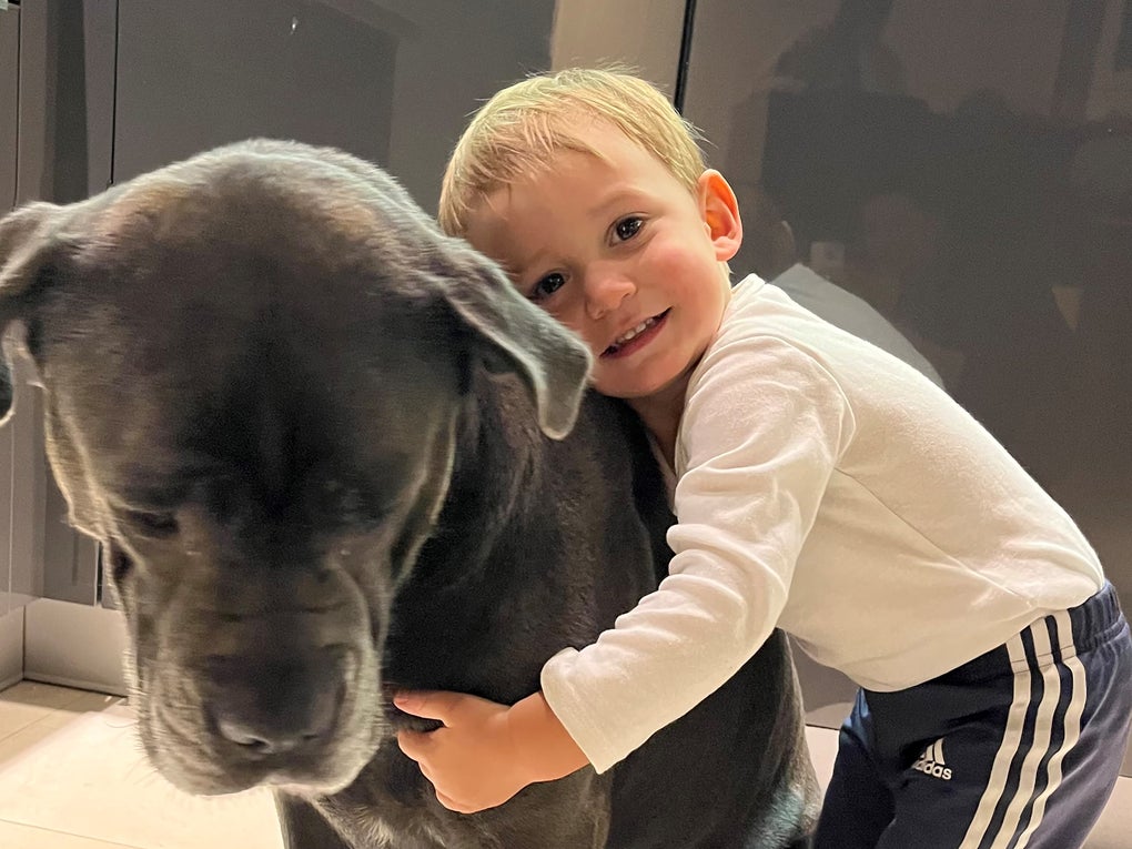 ein kleiner Junge umarmt einen großen Hund ein kleiner Junge umarmt einen großen Hund