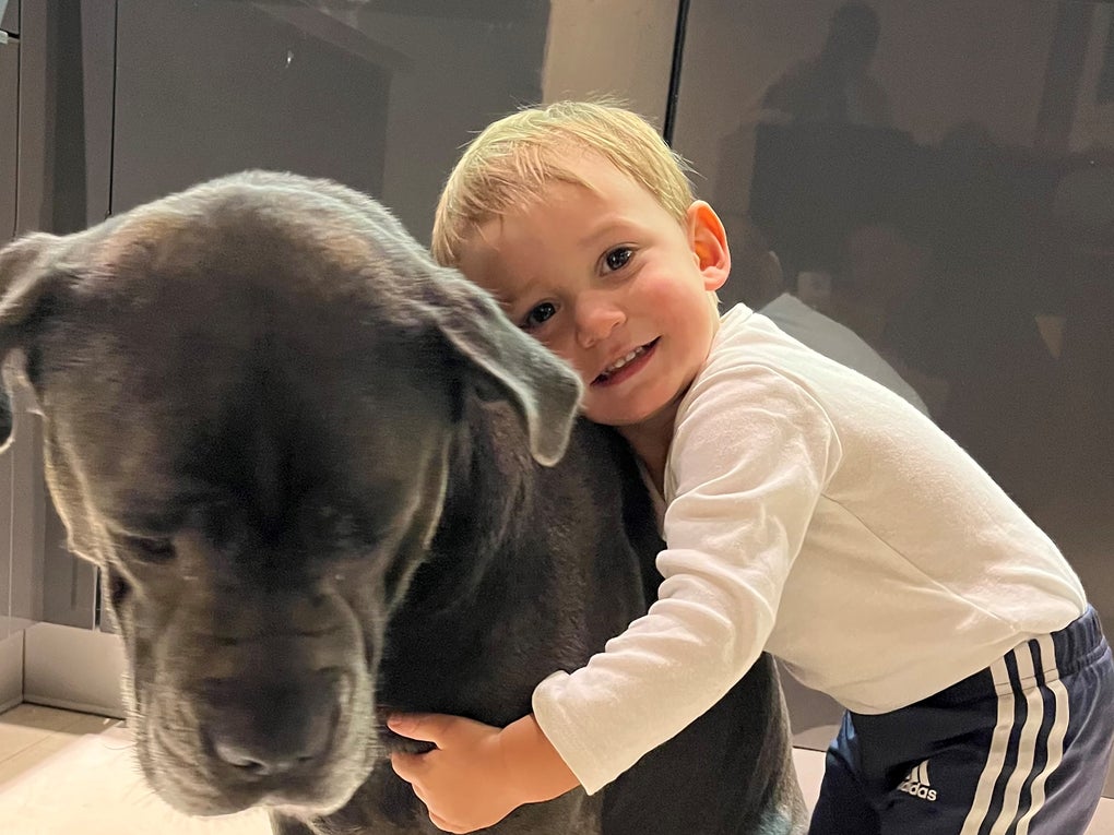 ein kleiner Junge umarmt einen großen Hund ein kleiner Junge umarmt einen großen Hund