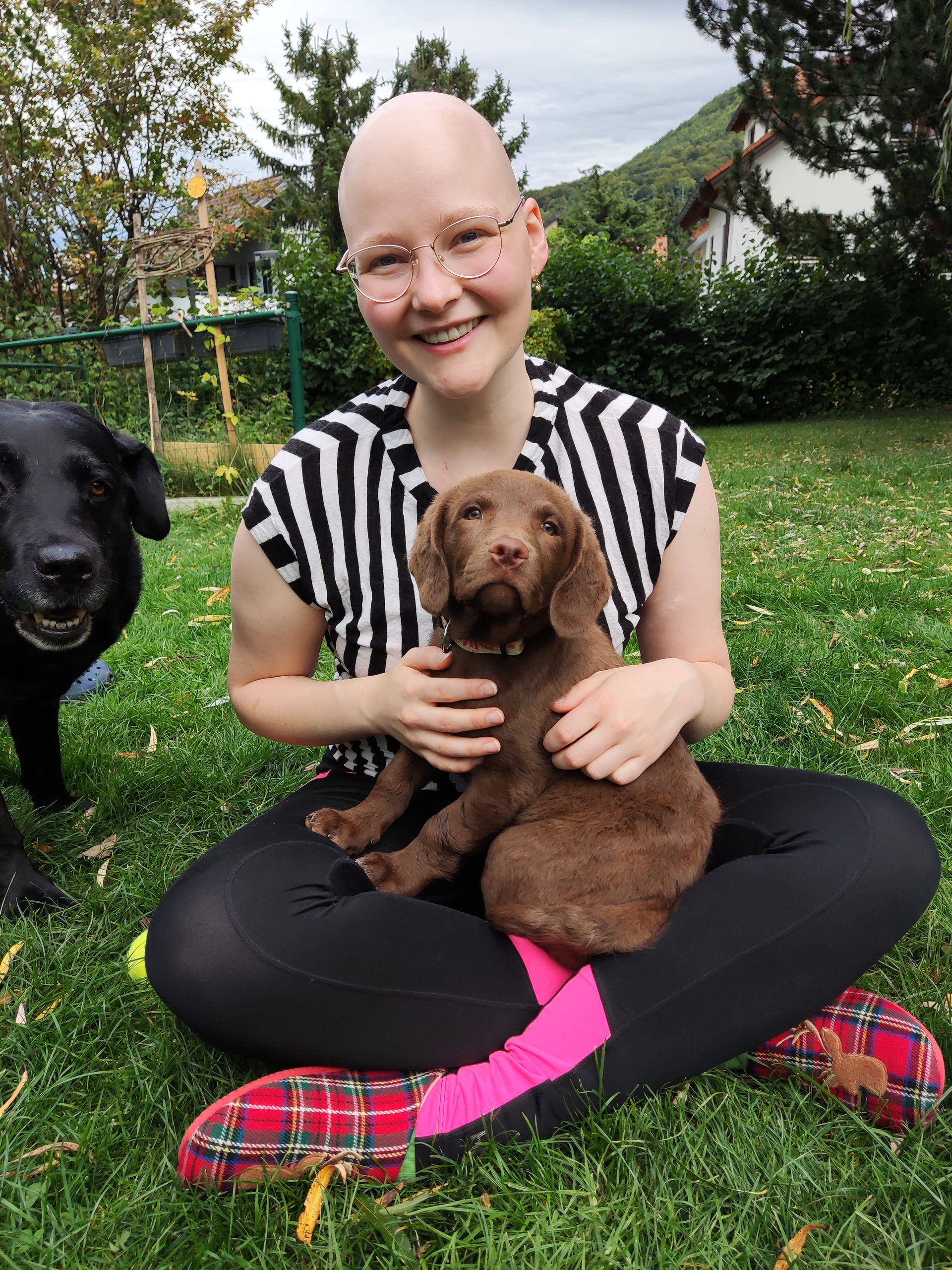 Eine Frau sitzt mit einem Hund auf dem Schoss im Gras Eine Frau sitzt mit einem Hund auf dem Schoss im Gras