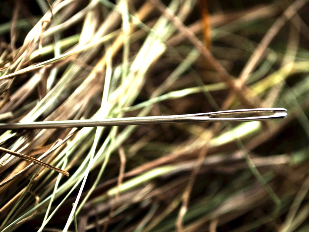 Eine Nadel im Heuhaufen Eine Nadel im Heuhaufen