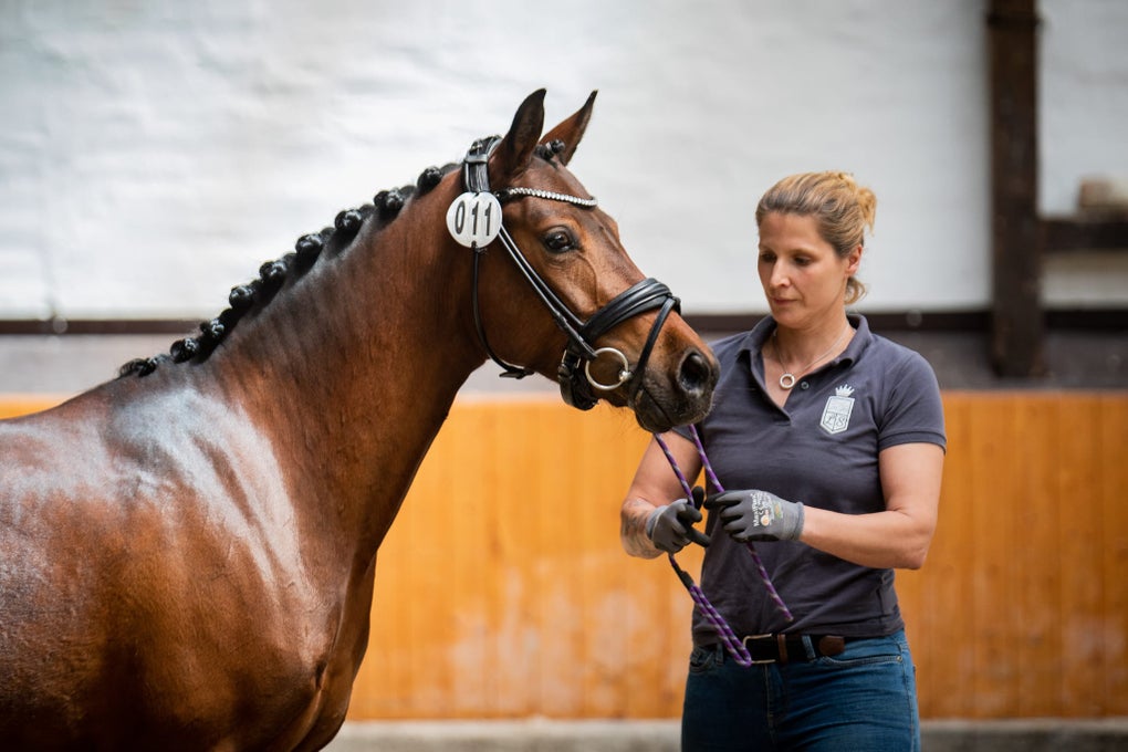 Nadine steht neben einem braunen Pferd und hält es an den Zügeln fest. Nadine steht neben einem braunen Pferd und hält es an den Zügeln fest.