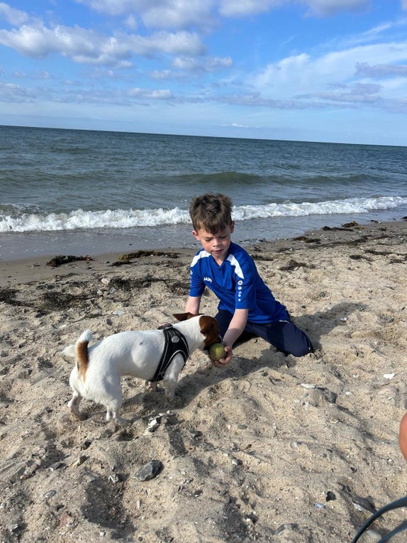 Ein Junge spielt mit einem Hund am Strand Ein Junge spielt mit einem Hund am Strand