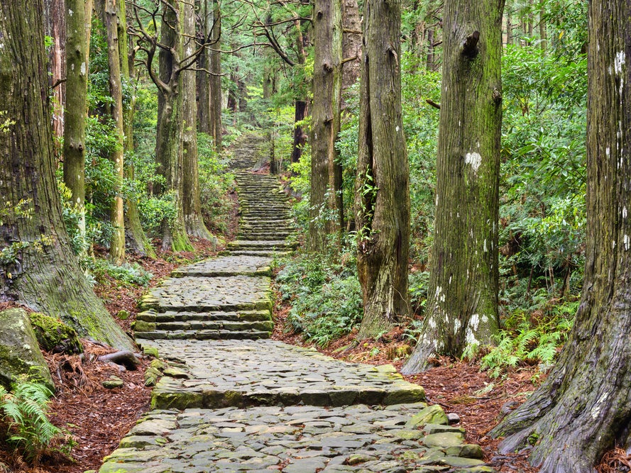 Ein Steinweg im Wald Ein Steinweg im Wald