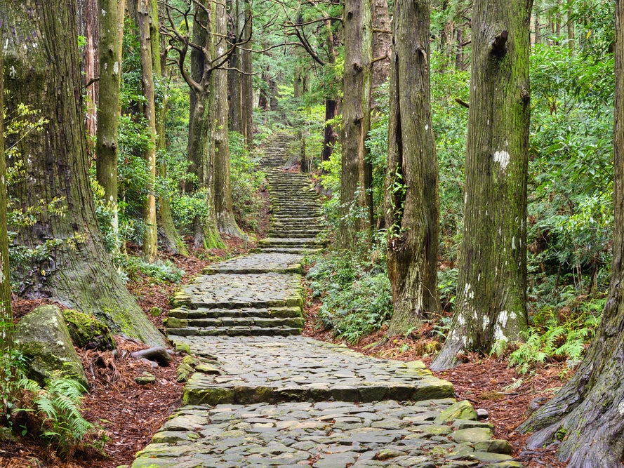 Ein Steinweg im Wald Ein Steinweg im Wald