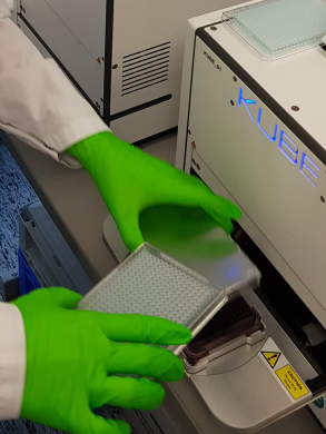 Vom Wattestäbchen zum Stammzellspender