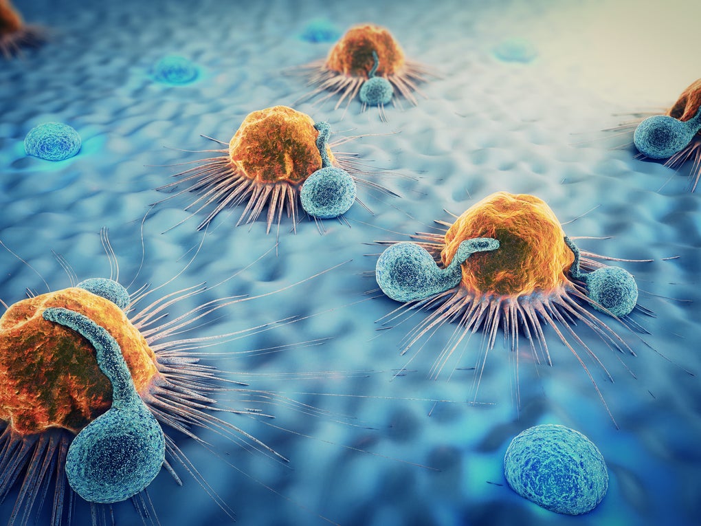 Eine Gruppe von blauen und orangefarbenen Bakterien Eine Gruppe von blauen und orangefarbenen Bakterien