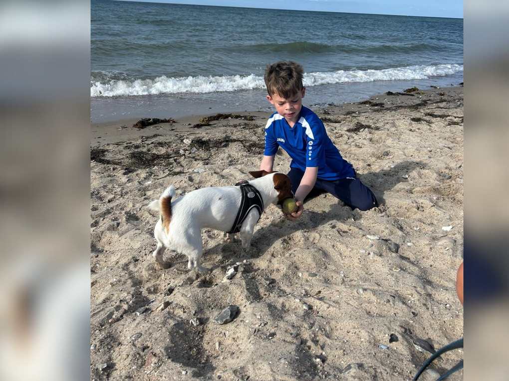 Ein Junge spielt am Strand mit einem Hund. Ein Junge spielt am Strand mit einem Hund.