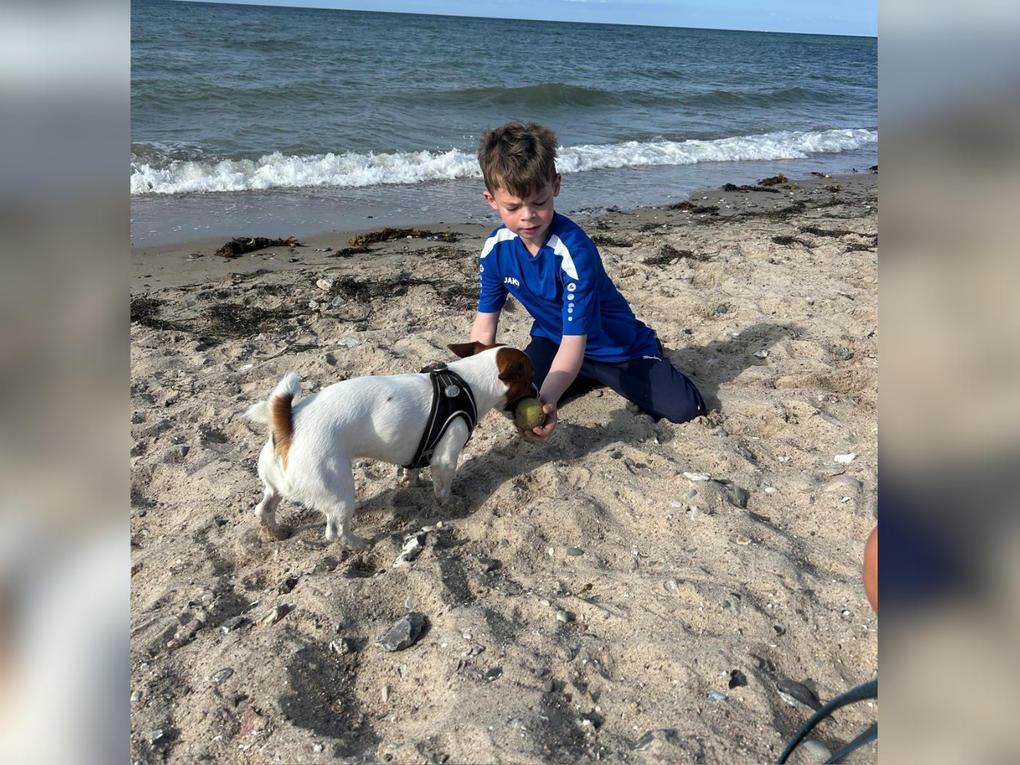 Ein Junge spielt am Strand mit einem Hund. Ein Junge spielt am Strand mit einem Hund.