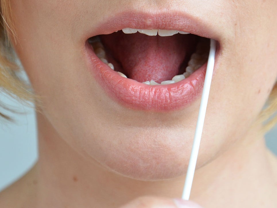 Frau nimmt eine Speichelprobe mit einem Wattestäbchen Frau nimmt eine Speichelprobe mit einem Wattestäbchen