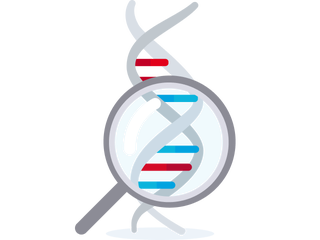 Ein gezeichneter DNS-Strang mit Vergrößerungsglas