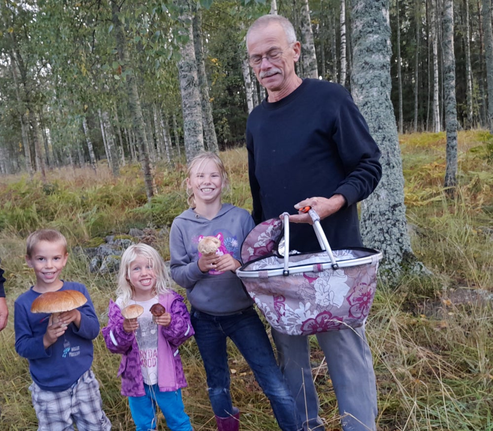 Frank und seine Enkelkinder sammeln Pilze im Wald.