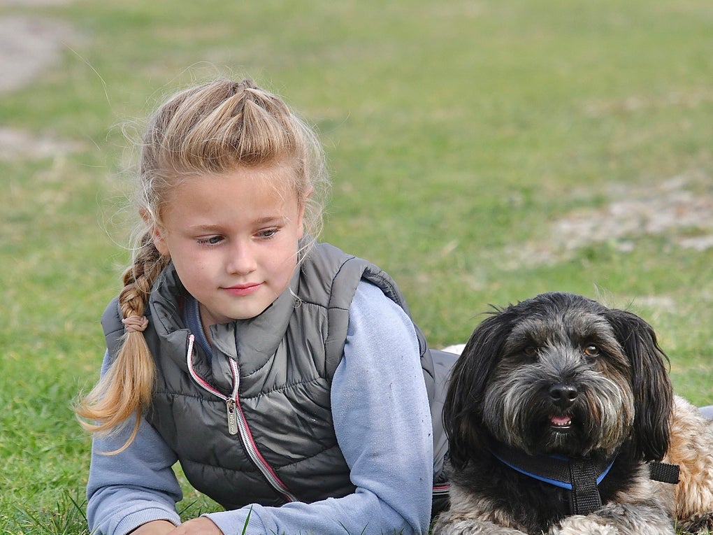 Ein Mädchen liegt im Gras neben einem Hund Ein Mädchen liegt im Gras neben einem Hund