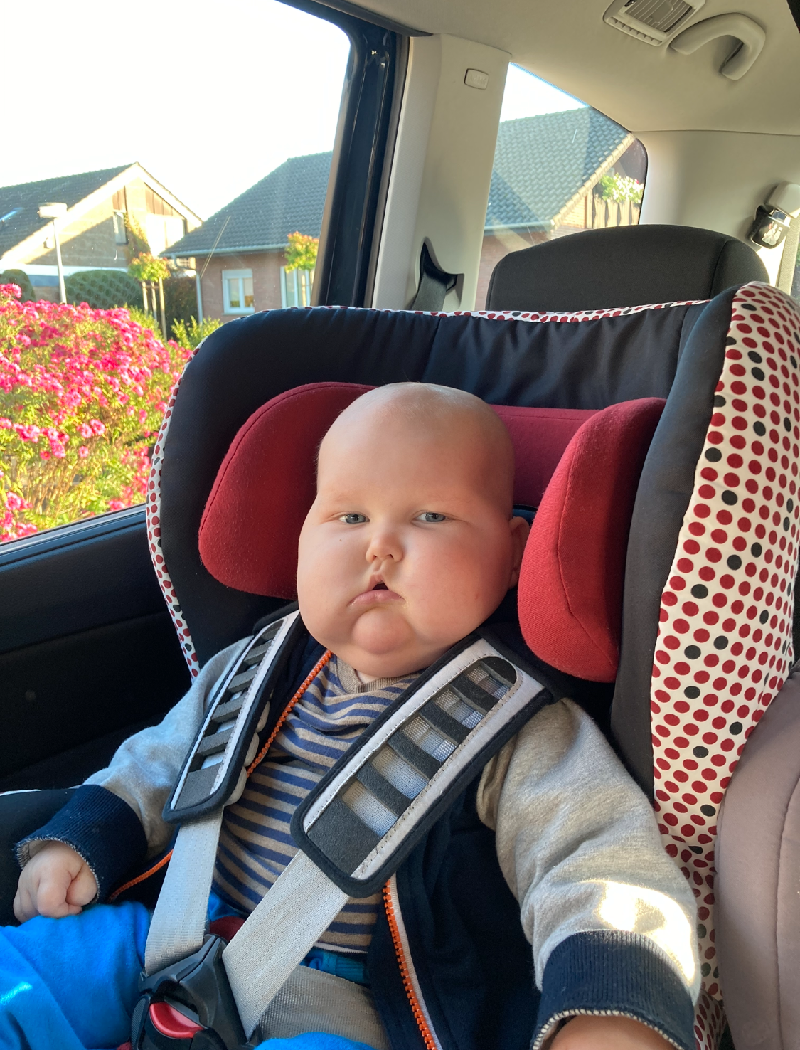 kleines Kind sitzt in einem Kindersitz kleines Kind sitzt in einem Kindersitz