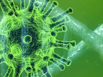 Coronavirus Coronavirus