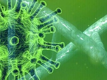 Coronavirus Coronavirus