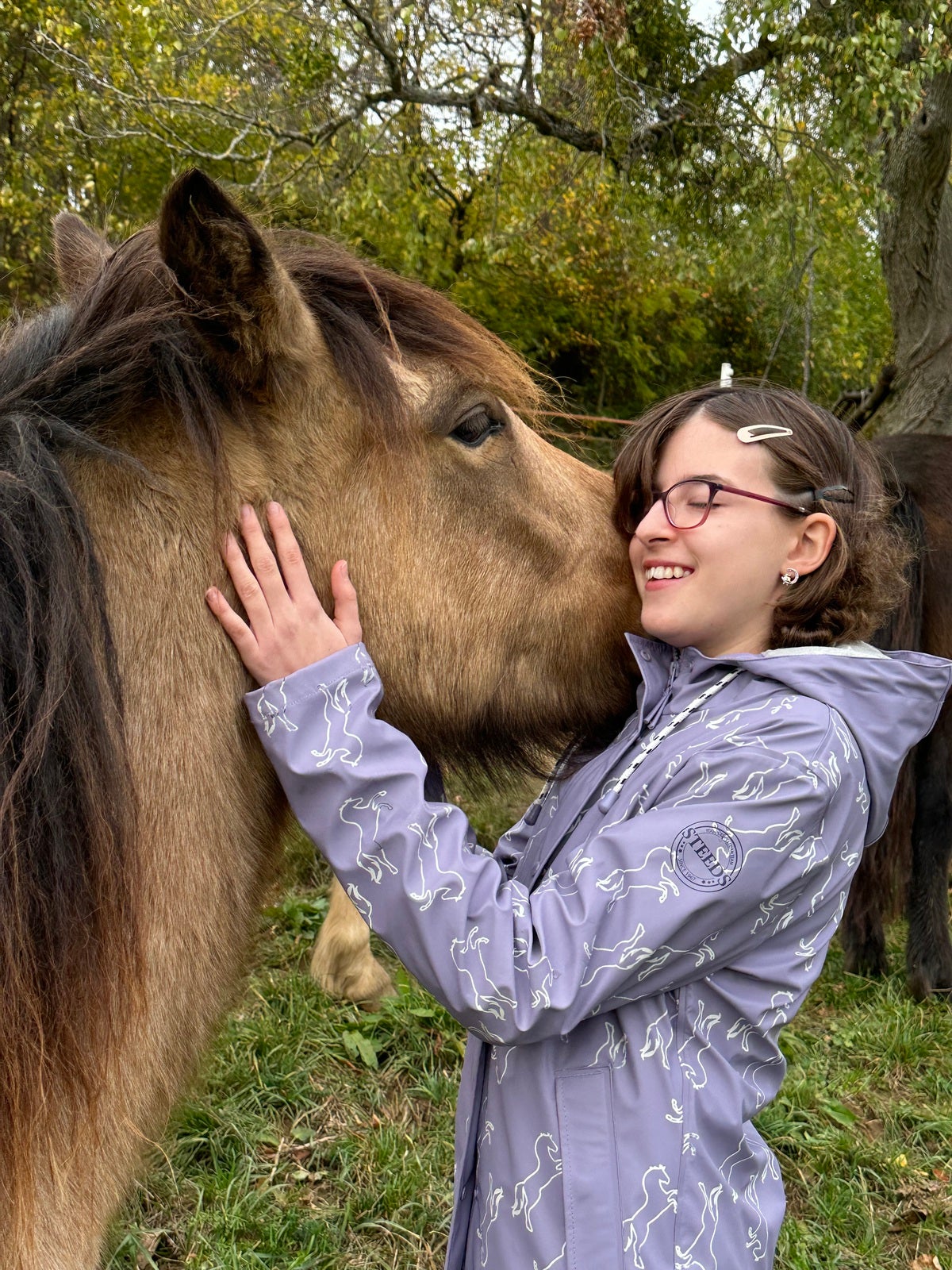 ein Mädchen streichelt ein Pferd ein Mädchen streichelt ein Pferd