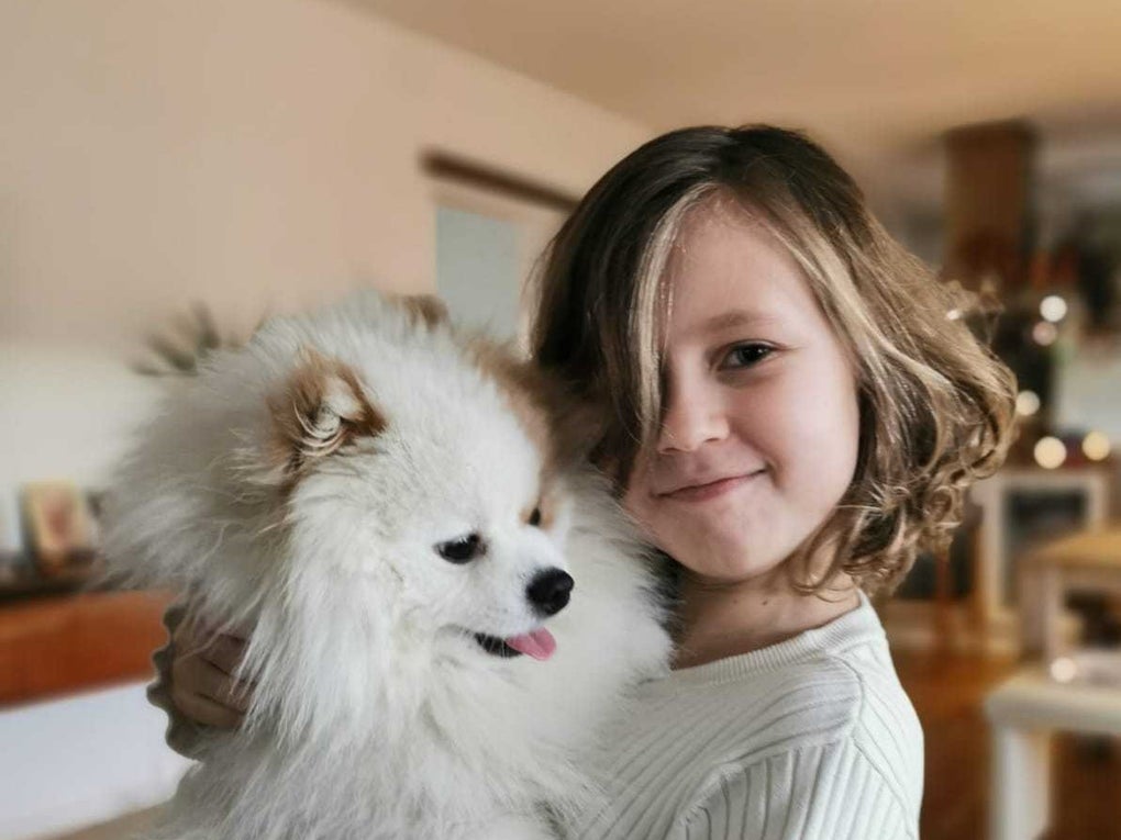 ein junges Mädchen hält ihren Hund auf dem Arm ein junges Mädchen hält ihren Hund auf dem Arm