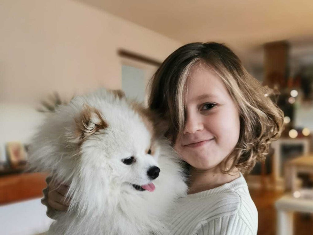 ein junges Mädchen hält ihren Hund auf dem Arm ein junges Mädchen hält ihren Hund auf dem Arm