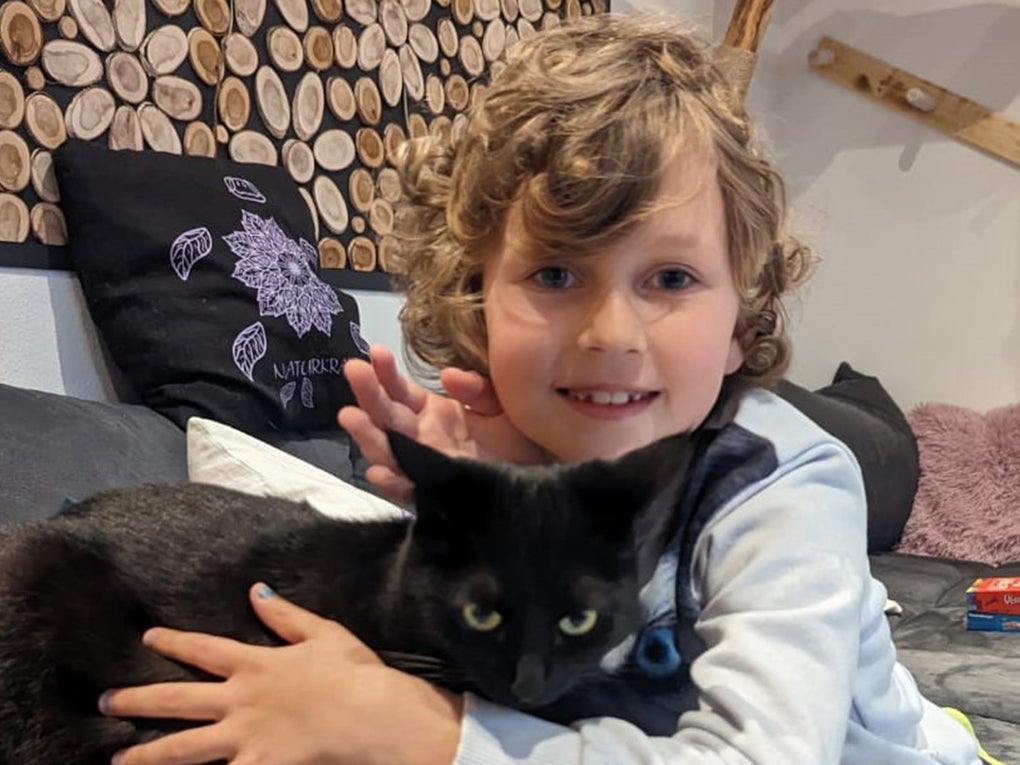 kleines Mädchen mit ihrer Katze kleines Mädchen mit ihrer Katze