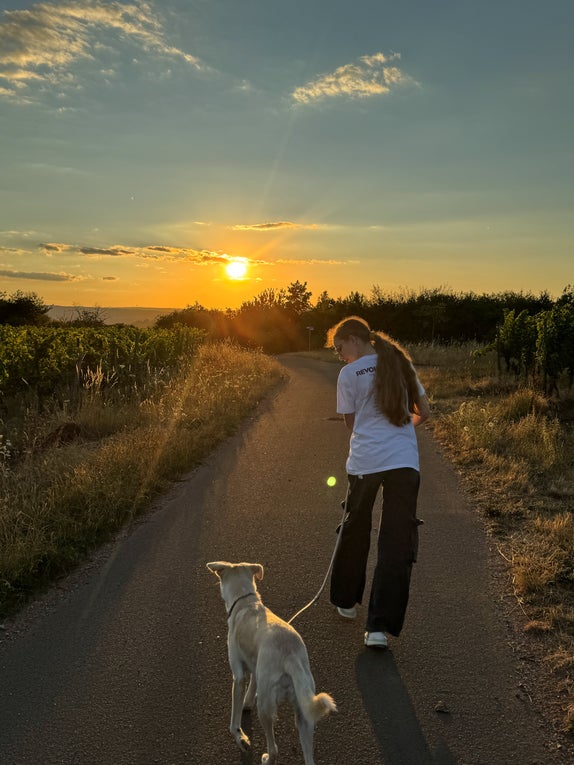 Finia geht mit ihrem Hund bei Sonnenuntergang spazieren Finia geht mit ihrem Hund bei Sonnenuntergang spazieren