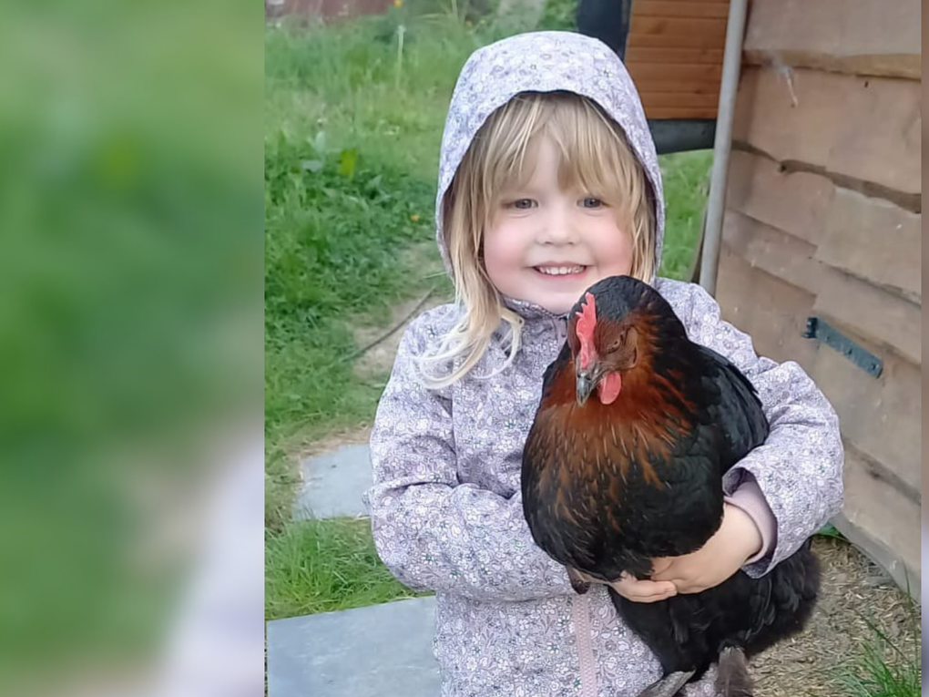 Ein junges Mädchen hält ein Huhn auf dem Arm und lächelt in die Kamera. Ein junges Mädchen hält ein Huhn auf dem Arm und lächelt in die Kamera.