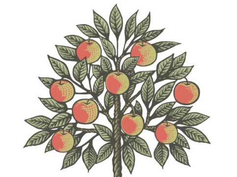 Ein gezeichneter Baum mit Äpfeln und Blättern Ein gezeichneter Baum mit Äpfeln und Blättern